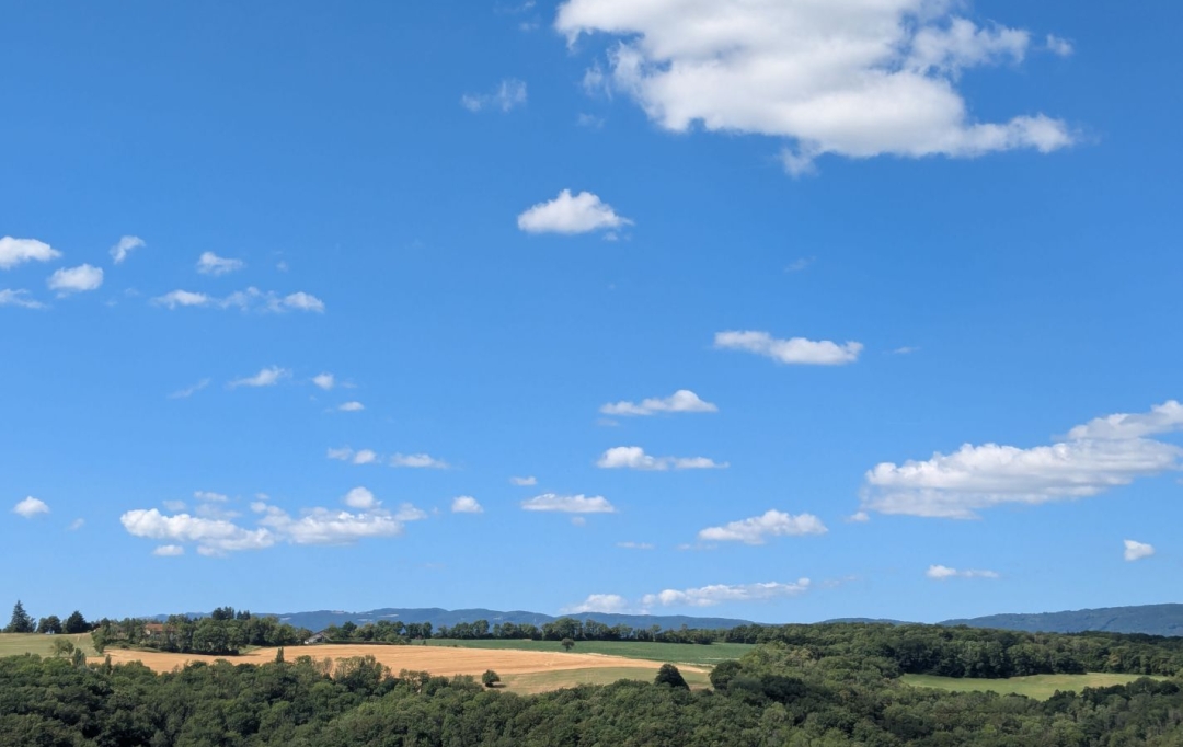 JEANDET Immobilier : Maison / Villa | LEAZ (01200) | 142 m2 | 525 000 &euro; 